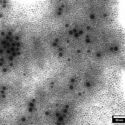 Fe Nanoparticles