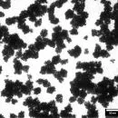 ZnO Nanoparticles